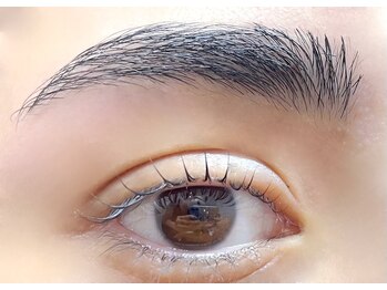 ブライズ(BRISE)/ラッシュリフト、アイブロウwax