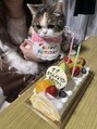 ヨサパーク マリ(YOSAPARK mari)&nbsp;うちの大事な家族のぷぷちゃんです♪