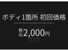 【メンズ脱毛】ボディ初回価格　1部位選択1回￥2,000