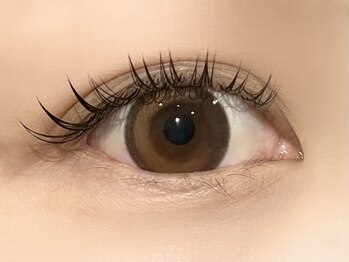 パキラ(Pachira)/ナチュラル盛り♪