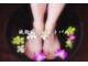 リーズ(RIES)の写真