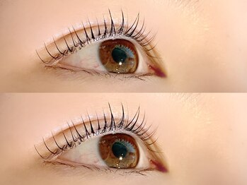 ウィット(wito)/◆まつげパーマ◆