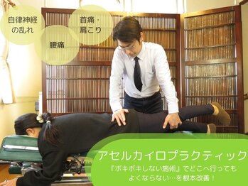 アセルカイロプラクティック
