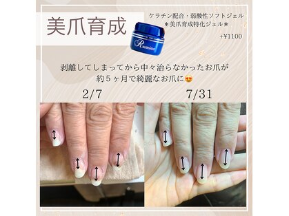 リモナ(Rimona)の写真