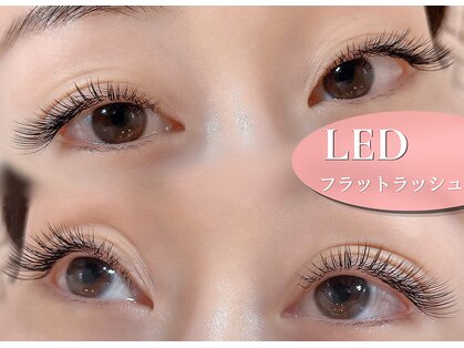 アテアイラッシュ 堺市駅店(ate eyelash)の写真
