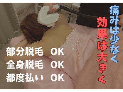 ミーティスジータ(mitis Gita)の写真