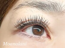 モアナラニ(MoanaLani)/デザインキープラッシュ