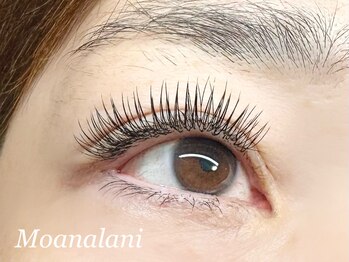 モアナラニ(MoanaLani)/デザインキープラッシュ