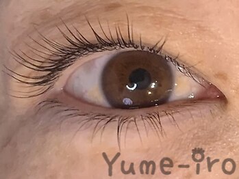 ユメイロ(Yume-iro)/初回カール(上下セット)￥9800