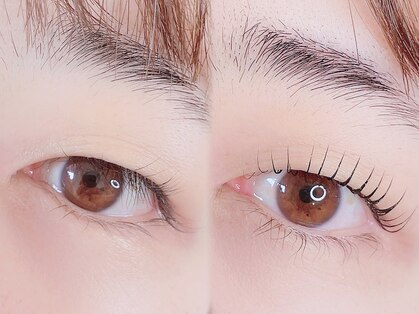 リリーミー(Lily Me)の写真
