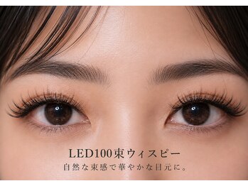 チック(chick)/LED100束ウィスピー束感美人