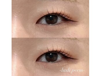 プログレス 東久留米店(PROGRESS)/上下まつ毛パーマ♪