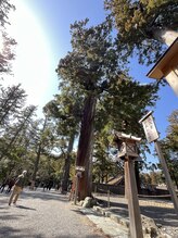 マシュマロハンド/よもぎ蒸し/冷え/むくみ改善