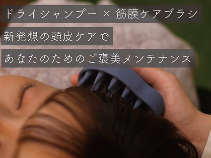 ニドネ(nidone)の写真