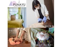 PUNAYU【鍼灸 | アーユルヴェーダ】