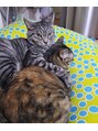 ラデュープラス(Radieux+) 猫を3匹飼っています♪毎日癒しをもらってます♪