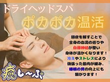 癒し～ぷ 高知帯屋町店