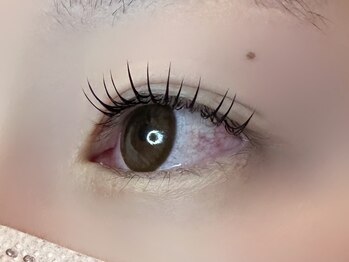 フリー#240(Free#240)/フラットラッシュ140本