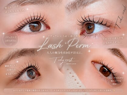 ティディーネスト(Tidynest)の写真