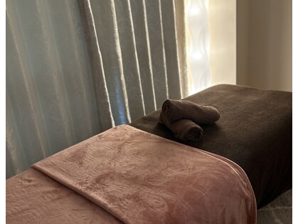 カモミール(Camomile)の写真