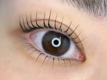 ニュイ(nuit.)の写真