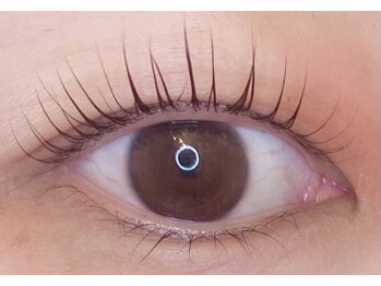 アイラッシュプラン メル 高槻JR駅前店(eyelash plan Mel)/パリジェンヌラッシュリフト
