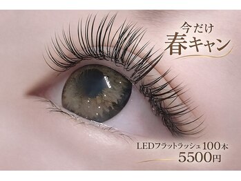 チック(chick)/LEDフラットラッシュ100本