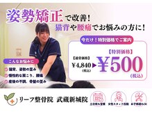 リーフ整骨院 武蔵新城店