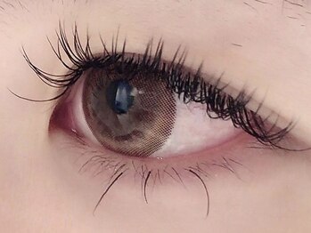 カラン 焼津店(CALIN)/フラットラッシュ160本