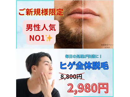 ソラ(SORA)の写真