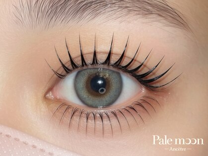 ペールムーンアンセートル(Palemoon Ancetre)の写真