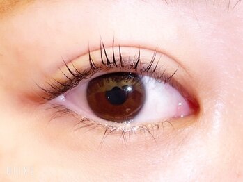 ベルポ(Bellpo)/まつ毛カール上下