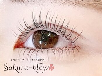 まつげパーマ・眉毛・アイブロウ専門店　Sakura-blow 田町店の写真/［田町駅スグ/まつげパーマ］【小顔効果抜群】まつげが上がって可愛いさ倍増♪パリジェンヌラッシュリフト