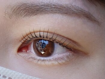 プール エドボリ(POOL EDOBORI)の写真/ナチュラル派の方に大人気!!【フラットラッシュ/まつ毛パーマ】自まつ毛が伸びたような自然な仕上がり♪