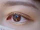 プール エドボリ(POOL EDOBORI)の写真/ナチュラル派の方に大人気!!【フラットラッシュ/まつ毛パーマ】自まつ毛が伸びたような自然な仕上がり♪