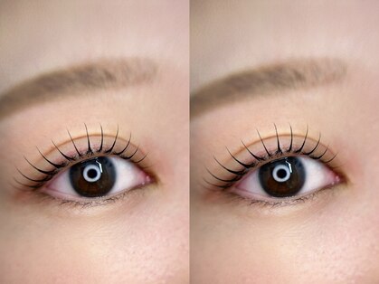 ニュイ(nuit.)の写真