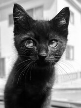 リラクゼーション 結 セラピスト 喜屋武美咲