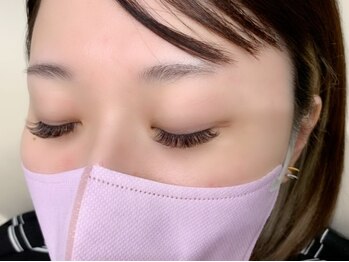 ルピナス(Lupinus)/LEDボリュームラッシュ500本