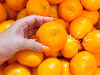 クレー(Klee)/スカルプワンカラー