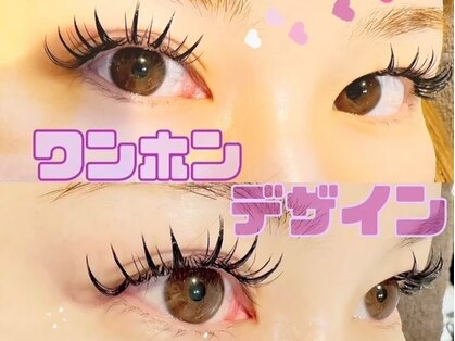 クワトロ バイ ベルキャットの写真