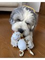 マキア 千葉店 (MAQUIA)&nbsp;愛犬のマナくんです♪