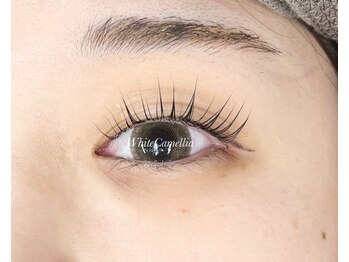 ホワイトカメリア 梅田茶屋町店(White Camellia)/まつ毛パーマ/マツエクサロン