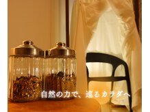 セラピールームやどり木
