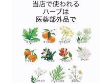 ヨサパーク ル シエル(YOSAPARK Le-ciel)の雰囲気（10種類以上のハーブを使用♪医薬部外品で安心安全！）