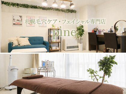 ピネ(pine)の写真