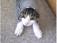 ロイヤルタッチ(Royal Touch)/小顔・整顔コース♪