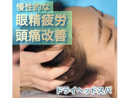 イルカの羽の写真