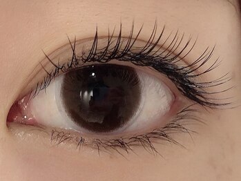 カラン 焼津店(CALIN)/フラットラッシュ100本