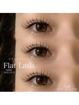 サラ(Sala)/フラットラッシュ160本