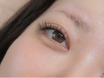 ベルード(veludo)/